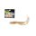 Wizard Harpex Twist Evo Black 6cm Twister 10pcs