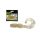 Wizard Harpex Twist Extra Silver 5cm Twister 10pcs