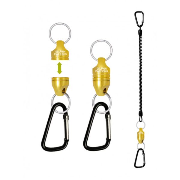 Delphin PWR magnetic connector with belt gold / 3,5kg