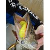 Nevis Twister Shad Vantage Perch 9cm 6,56gr Green-White Plastic Bait 3db