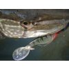 Nevis Twister Shad Vantage 9cm 6,56gr 3db/cs /yellow-flitter/ Plastic bait