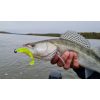 Nevis Impulse Shad 6,3cm 1,77gr 6pcs/cs Lemon Yellow Plastic Bait