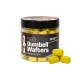 Carp Expert Neo Wafter Dumbell Wafter Pineapple 10x14mm Wafter 50gr