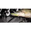 Reiva Zander Power Shad 10cm 7,05gr 4pcs/cs (Lemon Yellow) Plastic bait