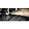 Reiva Zander Power Shad 8cm 3.18gr 5pcs/pack (Green Flitter) Plastic bait