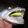 Reiva Flash Shad 12,5cm 3db/cs Plastic bait