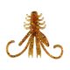 Reiva NYMPH 6cm 12db/cs Brown Flitter Plastic bait