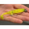 Reiva Offset Worm Black 4 5pcs/pack Ear Bearded Predator Fish Hook