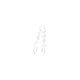 Mikado Bait Screw Transparent 11mm Bait Screw 10pcs