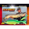 Biwaa Kapsiz 12.7cm 311 Sexy Shad Soft Bait 3pcs