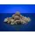 BaitBait Sea of Dreams 30mm Preserved Boilie 1kg