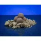 BaitBait Sea of Dreams 30mm Preserved Boilie 1kg
