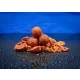 BaitBait Rebel 30mm Preserved Boilie 1kg