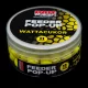 Bait Maker Feeder 11mm Cotton Candy Pop Up 25gr