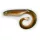Black Cat Mega Curl Tail Eel 22cm 29gr Plastic Lure
