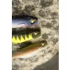 Black Cat Mega Curl Tail Shock Perch 22cm 29gr Plastic Lure