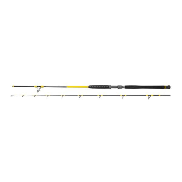 Black Cat Freestyle Pro Bank 150-300gr 2,80m 2-Piece Catfish Rod
