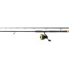 Black Cat Hard Core Combo Allround Rod 2.70m 500gr 2-piece Rod with Black Passion FD 80 Reel and Line