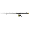 Black Cat Hard Core Combo Bank Rod 3.00m 600gr 2-piece Catfish Rod with Black Passion FD 80 Reel and Line
