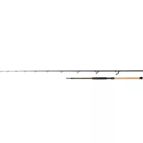   Black Cat Battle Cat Elite Bank 3.00m 600gr 2-piece Catfish Rod