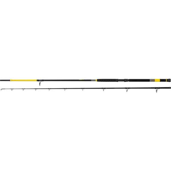 Black Cat Perfect Passion X Bank 3.20m 600gr 2-piece Catfish Rod
