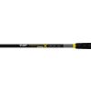 Black Cat Perfect Passion X Bank 3.00m 600gr 2-piece Catfish Rod