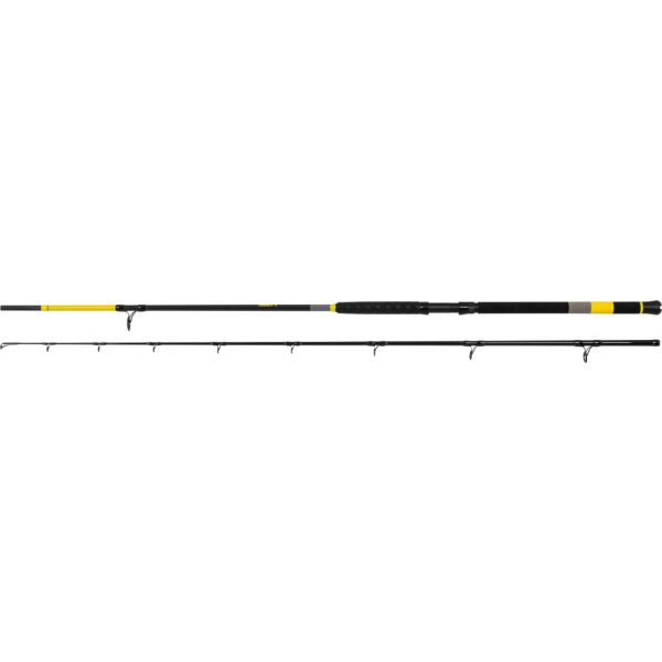Black Cat Perfect Passion X Bank 2.80m 600gr 2 Piece Catfish Rod
