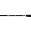 Black Cat Perfect Passion X Bank 2.80m 600gr 2 Piece Catfish Rod