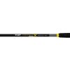 Black Cat Perfect Passion X Bank 3.20m 350gr 2-piece Catfish Rod