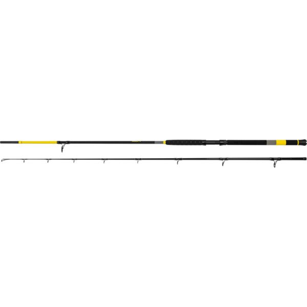 Black Cat Perfect Passion X Bank 3.00m 350gr 2-piece Catfish Rod