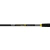 Black Cat Perfect Passion X Bank 3.00m 350gr 2-piece Catfish Rod