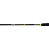 Black Cat Perfect Passion X Bank 2.80m 350gr 2-piece Catfish Rod