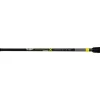 Black Cat Perfect Passion X Casting 2.20m 30-150gr 2 Piece Spinning Rod