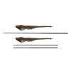 "Horizon X3s 42"" 8ft pole Landing Net"
