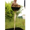 Fox Particle Baiting Spoon