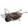 Transporter 24v Power Barrow (including 2 x 9Ah 12v batteries and charger)