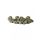 Carp Zoom CZ Drilled fish pellet, 20 mm, fishbut, 5 kg