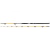 Predator Z Catzoom Brutal 3,00m 850gr 2 piece fishing rod