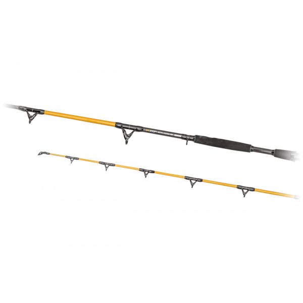 Predator Z Catzoom Brutal 3,30m 850gr 2 piece catfishing rod
