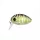 Predator Z PZ UL Bug wobbler, 3,2 cm, 3,5 g, black, green, floating