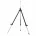 Carp Zoom stands, tripods