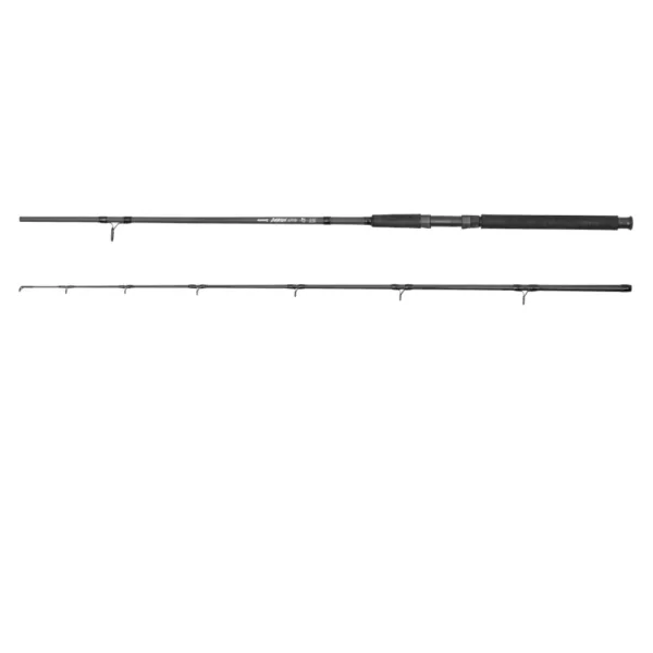 Predator-Z Darius Spin 3,00m 50-100gr 2-piece Spinning Rod