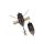 Duo Realis Shinmushi 4,0cm 5,7gr CPS3401 Tama Bug Beetle Replacement