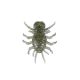 Duo Realis Koninmushi 3,2cm F619 Smoke Chart Glow Flake Soft artificial lure 4pcs