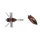 Duo Realis Shinmushi 4,0cm 5,7gr CCC3219 Beetle Bug Lure