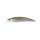 Duo Spearhead Ryuki 70SP 7cm 4.1gr MCC4036 Rainbow Trout Floating Wobbler