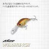 Evergreen Wildhunch 5.2cm 9.6gr #252 Secret Lime Wobbler