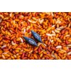 Guru Speed Carbon 0,8gr Competition Swimmer