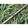 Garbolino Essential X-Tend Match Hybrid 3.60-3.90m Match Bot
