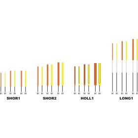   Garbolino WAGGLER COMPETITION SP W13 - CARBON antenna set /2-3-4 mm/